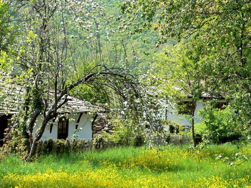 Рынок сельской недвижимости в Болгарии